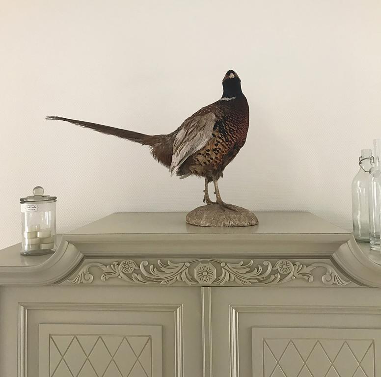 Vita Huset B&B Soelvesborg Zewnętrze zdjęcie